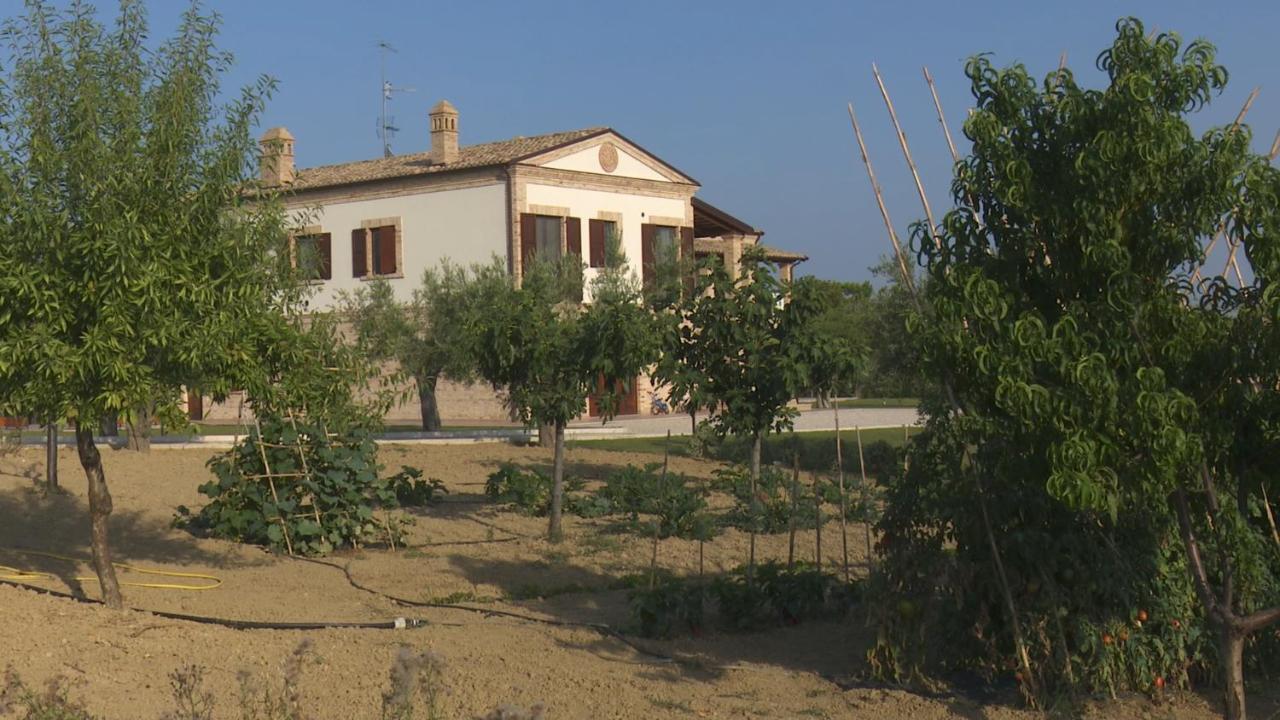 Colle Veroni Mosciano Sant'Angelo