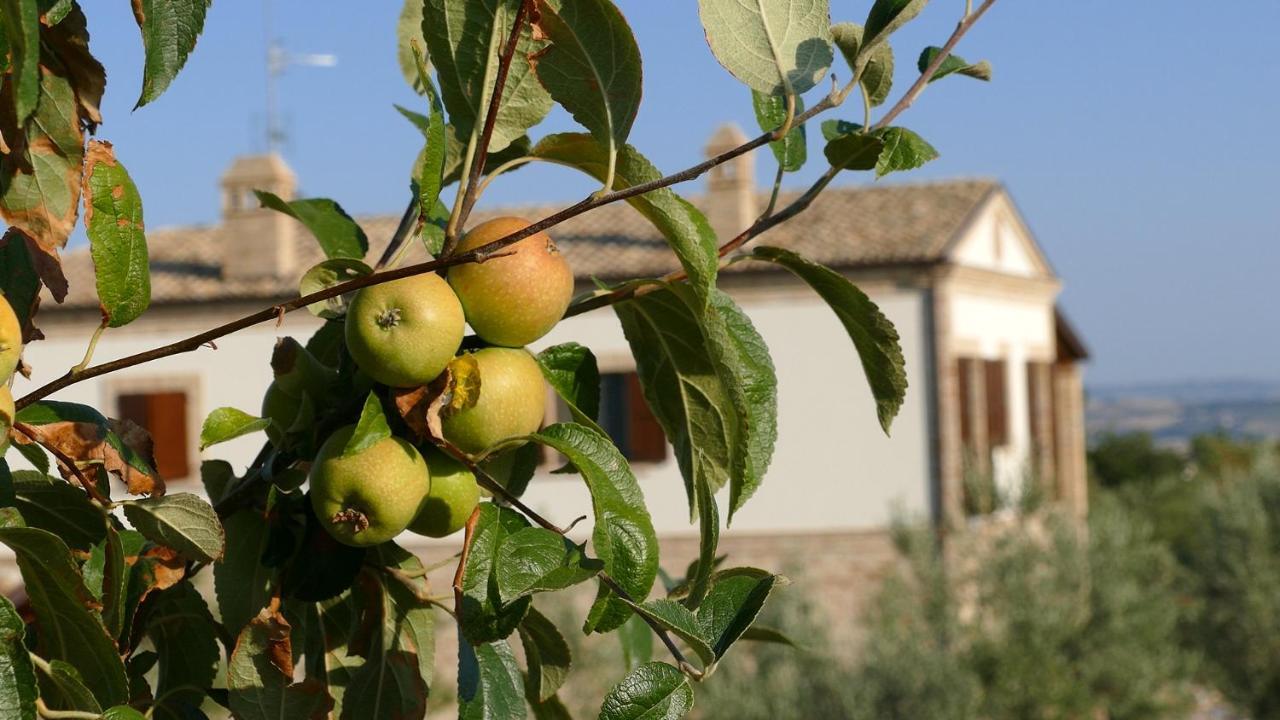 Aparthotel Colle Veroni *
